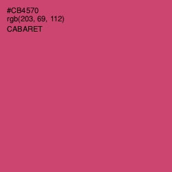 #CB4570 - Cabaret Color Image