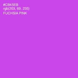 #CB45EB - Fuchsia Pink Color Image