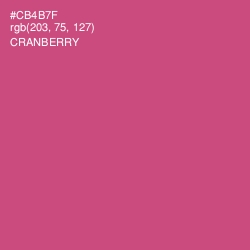 #CB4B7F - Cranberry Color Image