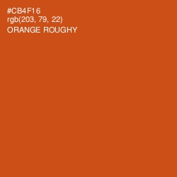 #CB4F16 - Orange Roughy Color Image