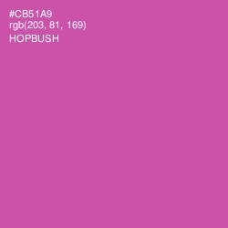 #CB51A9 - Hopbush Color Image