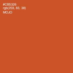 #CB5326 - Mojo Color Image