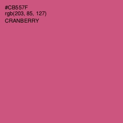 #CB557F - Cranberry Color Image