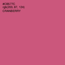 #CB577C - Cranberry Color Image