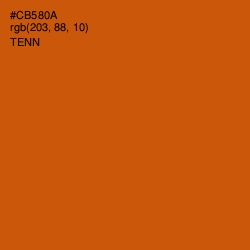 #CB580A - Tenn Color Image