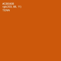 #CB580B - Tenn Color Image