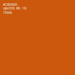 #CB580D - Tenn Color Image