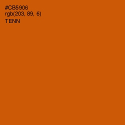 #CB5906 - Tenn Color Image