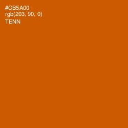 #CB5A00 - Tenn Color Image