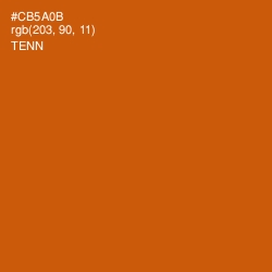 #CB5A0B - Tenn Color Image