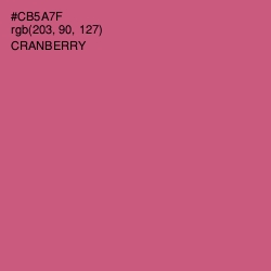 #CB5A7F - Cranberry Color Image