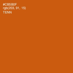 #CB5B0F - Tenn Color Image