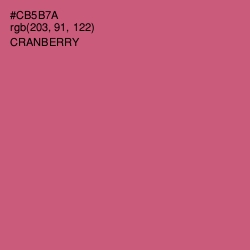 #CB5B7A - Cranberry Color Image