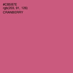 #CB5B7E - Cranberry Color Image