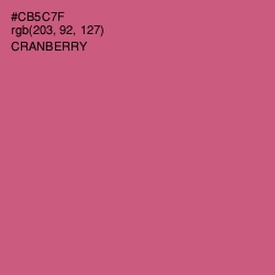 #CB5C7F - Cranberry Color Image