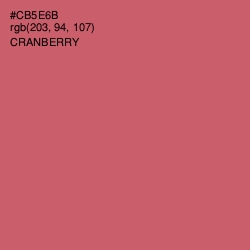#CB5E6B - Cranberry Color Image