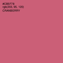 #CB5F78 - Cranberry Color Image