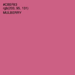 #CB5F83 - Mulberry Color Image