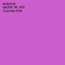 #CB5FCB - Fuchsia Pink Color Image