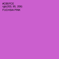 #CB5FCE - Fuchsia Pink Color Image