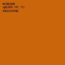 #CB650B - Indochine Color Image
