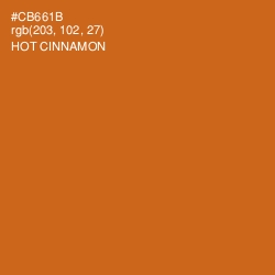 #CB661B - Hot Cinnamon Color Image