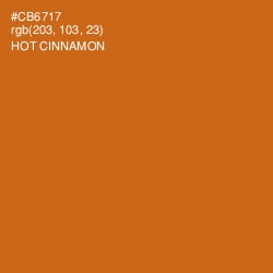 #CB6717 - Hot Cinnamon Color Image