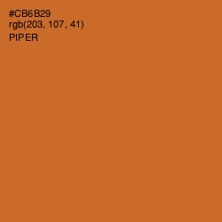 #CB6B29 - Piper Color Image