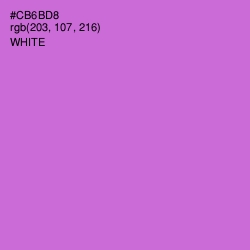 #CB6BD8 - Orchid Color Image