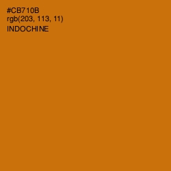 #CB710B - Indochine Color Image