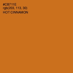 #CB711E - Hot Cinnamon Color Image