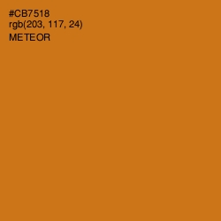 #CB7518 - Meteor Color Image