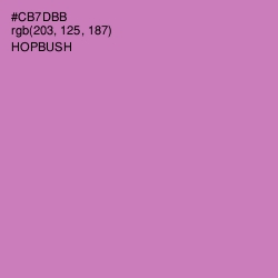 #CB7DBB - Hopbush Color Image