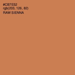 #CB7E52 - Raw Sienna Color Image