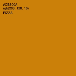 #CB800A - Pizza Color Image