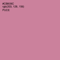 #CB809C - Puce Color Image