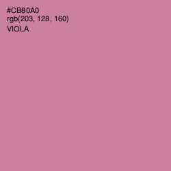 #CB80A0 - Viola Color Image