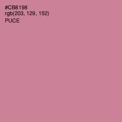 #CB8198 - Puce Color Image