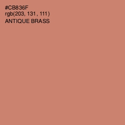 #CB836F - Antique Brass Color Image