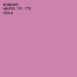 #CB83AD - Viola Color Image