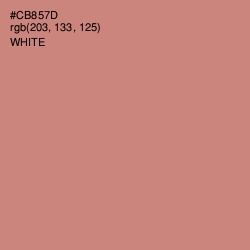 #CB857D - New York Pink Color Image