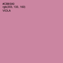 #CB85A0 - Viola Color Image