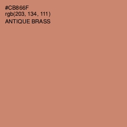 #CB866F - Antique Brass Color Image