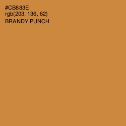 #CB883E - Brandy Punch Color Image