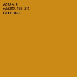 #CB8A15 - Geebung Color Image