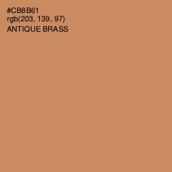 #CB8B61 - Antique Brass Color Image