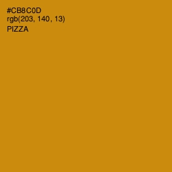#CB8C0D - Pizza Color Image