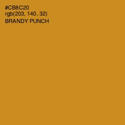 #CB8C20 - Brandy Punch Color Image
