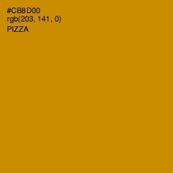 #CB8D00 - Pizza Color Image