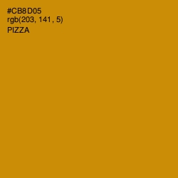 #CB8D05 - Pizza Color Image